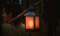 lantern forest Are Canadians prepared if the power grid fails?