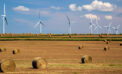 alberta green ecomomy energy wind agriculture Investing in green future easier said than done for Alberta