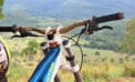 bycicle hill nature fitness bike ConnectTour Chronicles: Highlights, lowlights and lessons learned so far