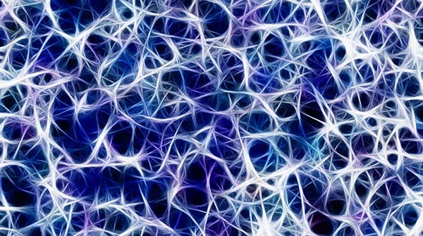 Researchers team up to speed up nerve regeneration