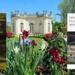 From blooms to gloom:  the surprisingly exciting history of horticulture