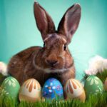 Following the trail of the Easter bunny’s origins