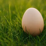 Easter reminds us to slow down and be still