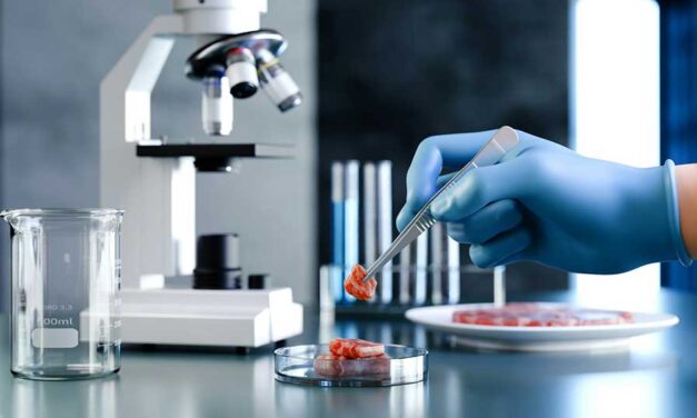 Lab-made food won’t win over Canadian shoppers