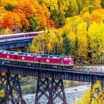 A beaver dam cut our 2017 Agawa Canyon train ride short