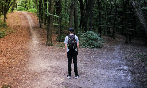 A life built on comfort cannot give a person meaning