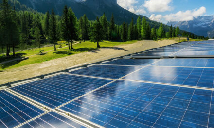 Alberta is killing a free-enterprise golden goose